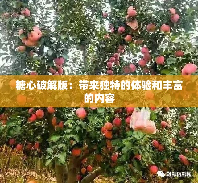 糖心破解版：带来独特的体验和丰富的内容