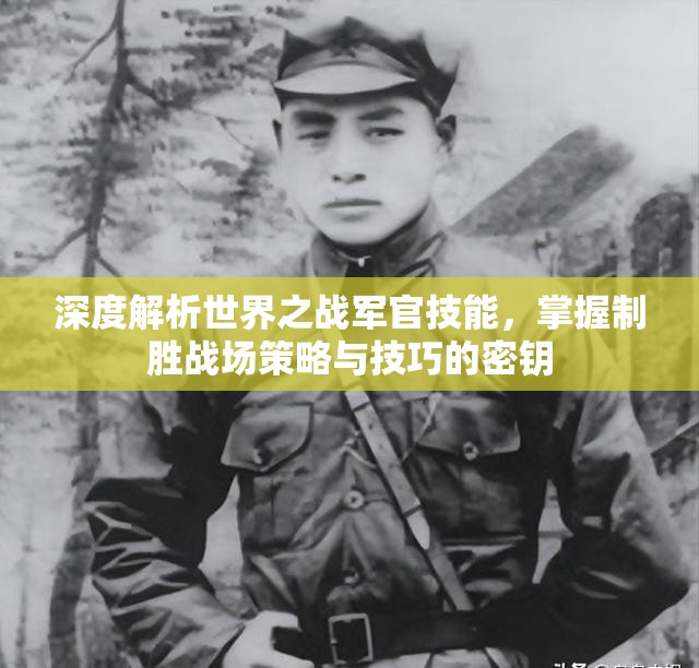 深度解析世界之战军官技能，掌握制胜战场策略与技巧的密钥
