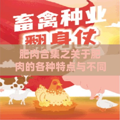 肥肉合集之关于肥肉的各种特点与不同种类介绍