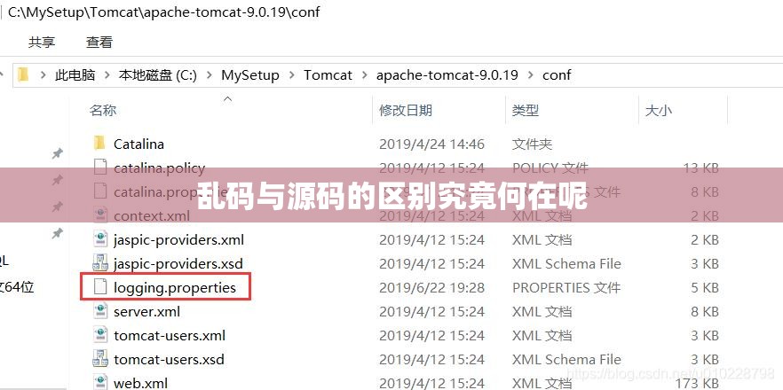 乱码与源码的区别究竟何在呢