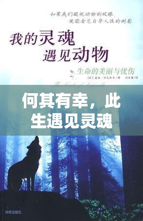 何其有幸，此生遇见灵魂共鸣的你，共赴心灵深处的奇妙之旅