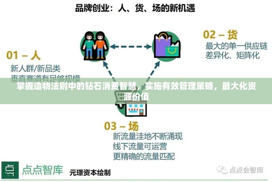 掌握造物法则中的钻石消费智慧，实施有效管理策略，最大化资源价值