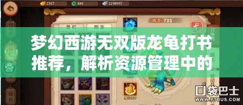 梦幻西游无双版龙龟打书推荐，解析资源管理中的重要性及高效策略