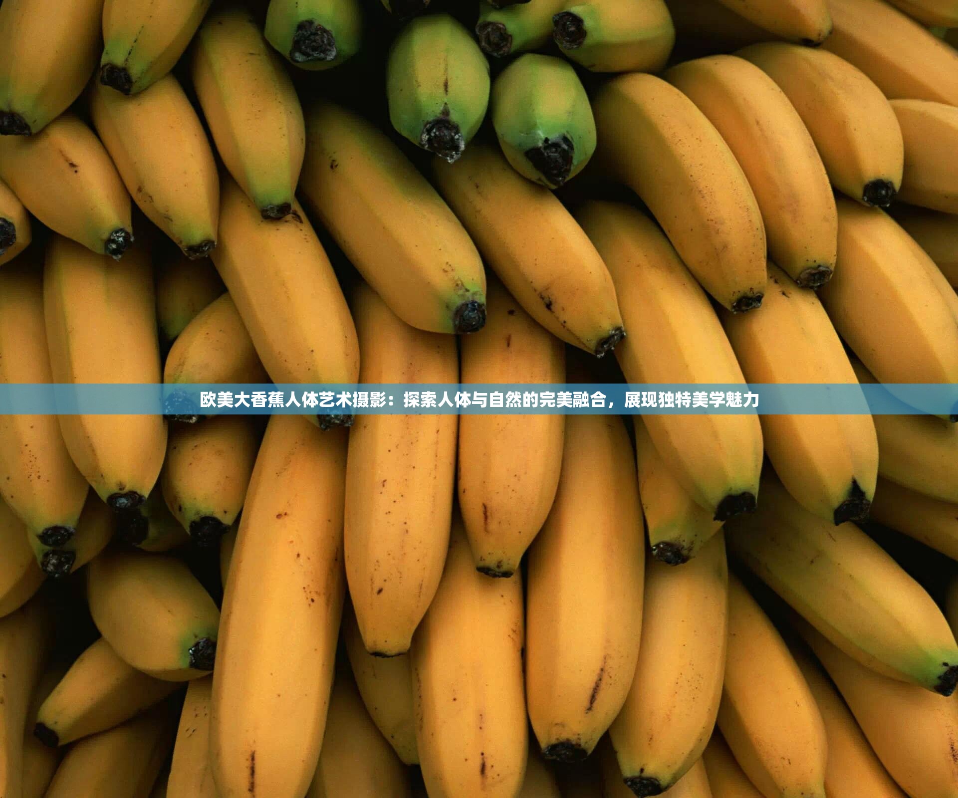 欧美大香蕉人体艺术摄影：探索人体与自然的完美融合，展现独特美学魅力