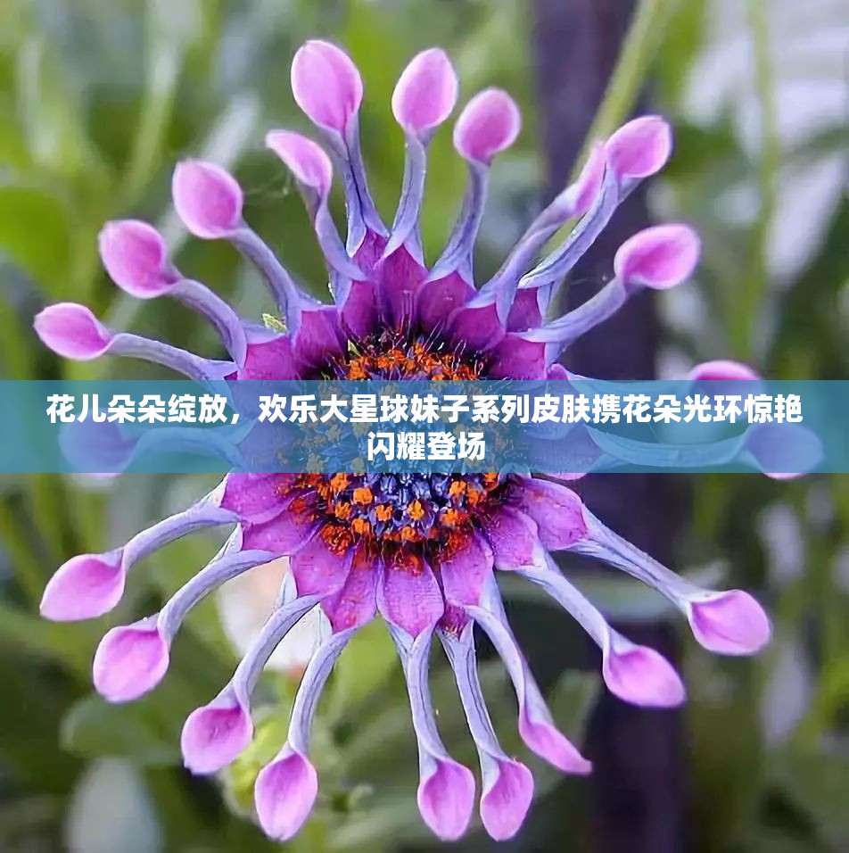 花儿朵朵绽放，欢乐大星球妹子系列皮肤携花朵光环惊艳闪耀登场