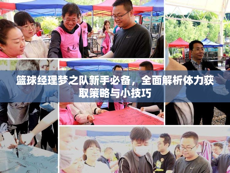 篮球经理梦之队新手必备，全面解析体力获取策略与小技巧