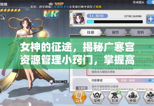 女神的征途，揭秘广寒宫资源管理小窍门，掌握高效艺术