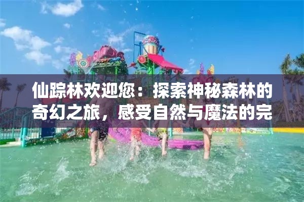 仙踪林欢迎您：探索神秘森林的奇幻之旅，感受自然与魔法的完美融合