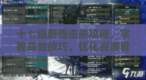 十七级野怪击杀攻略，掌握高效技巧，优化资源管理策略以制胜