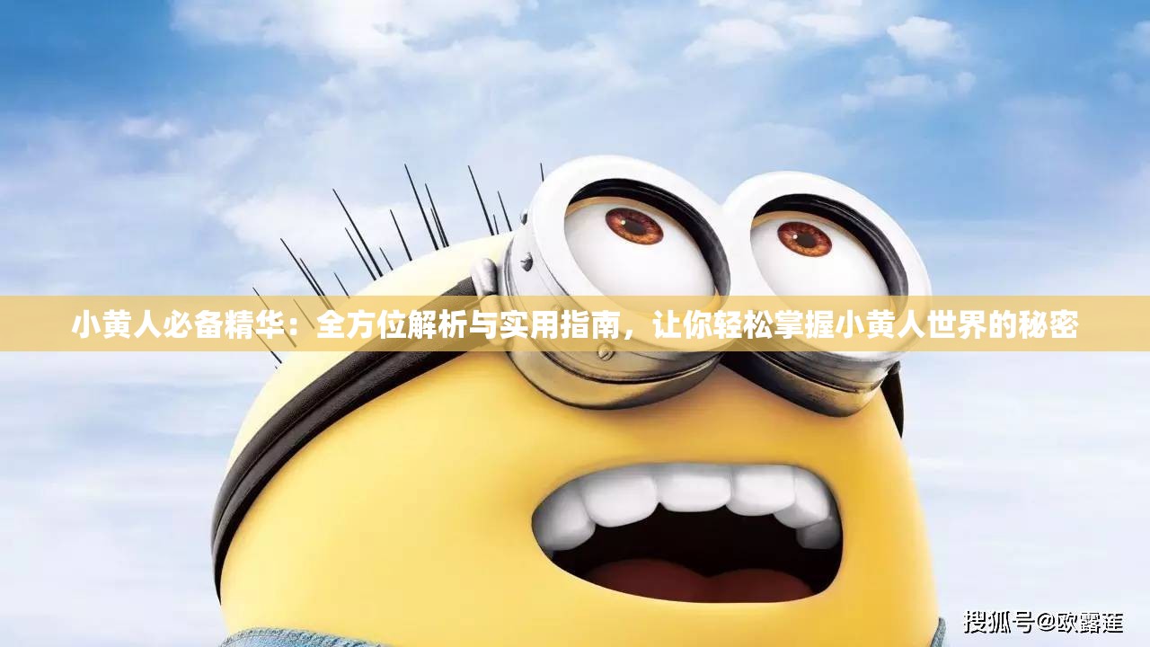 小黄人必备精华：全方位解析与实用指南，让你轻松掌握小黄人世界的秘密