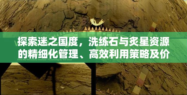 探索迷之国度，洗练石与炙星资源的精细化管理、高效利用策略及价值最大化