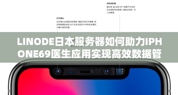 LINODE日本服务器如何助力IPHONE69医生应用实现高效数据管理与全球访问？