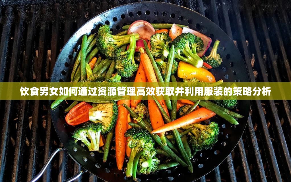 饮食男女如何通过资源管理高效获取并利用服装的策略分析