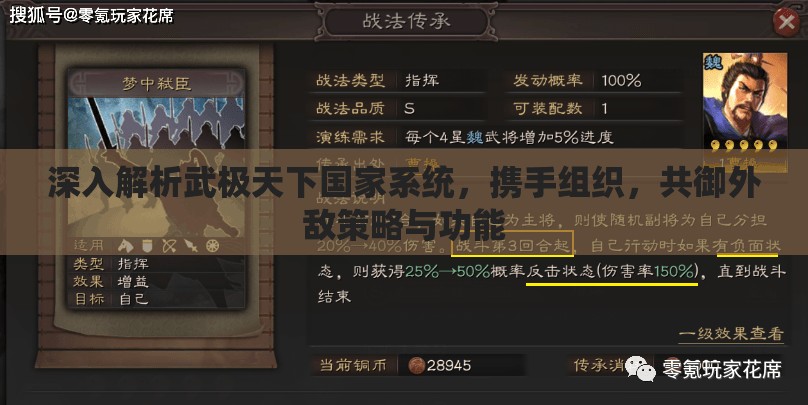 深入解析武极天下国家系统，携手组织，共御外敌策略与功能