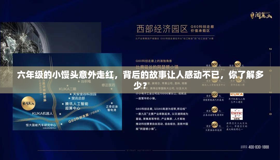 六年级的小馒头意外走红，背后的故事让人感动不已，你了解多少？