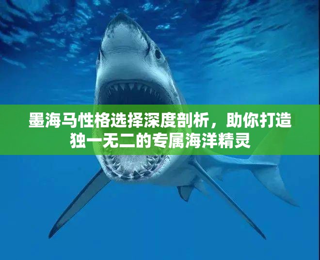 墨海马性格选择深度剖析，助你打造独一无二的专属海洋精灵