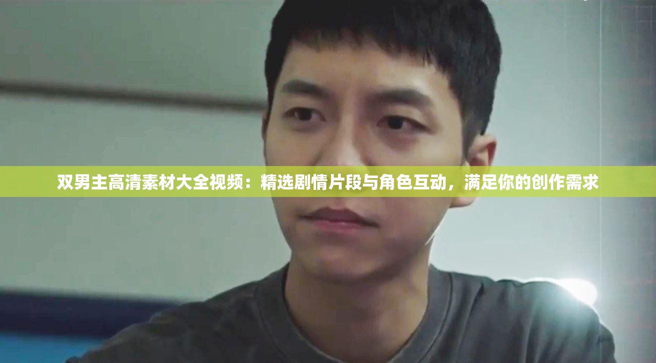 双男主高清素材大全视频：精选剧情片段与角色互动，满足你的创作需求