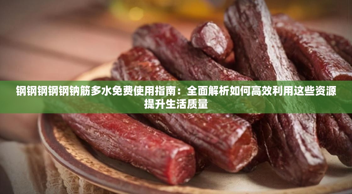 钢钢钢钢钢钠筋多水免费使用指南：全面解析如何高效利用这些资源提升生活质量