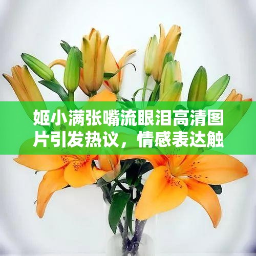 姬小满张嘴流眼泪高清图片引发热议，情感表达触动人心，网友纷纷分享感动瞬间