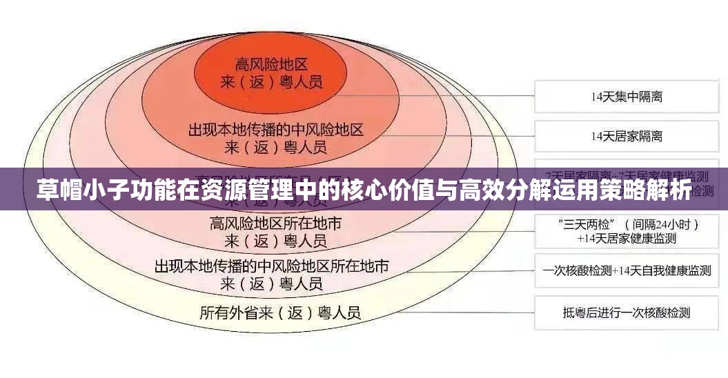 草帽小子功能在资源管理中的核心价值与高效分解运用策略解析