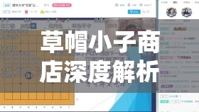 草帽小子商店深度解析，探索资源管理的艺术与高效功能介绍