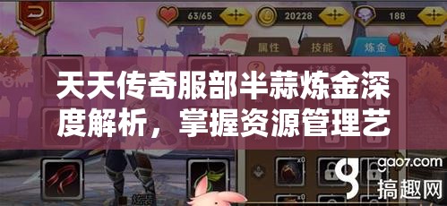 天天传奇服部半蒜炼金深度解析，掌握资源管理艺术，提炼心得秘籍