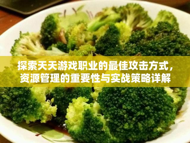 探索天天游戏职业的最佳攻击方式，资源管理的重要性与实战策略详解