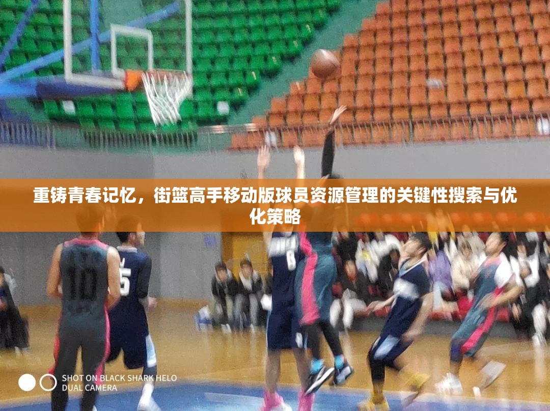 重铸青春记忆，街篮高手移动版球员资源管理的关键性搜索与优化策略
