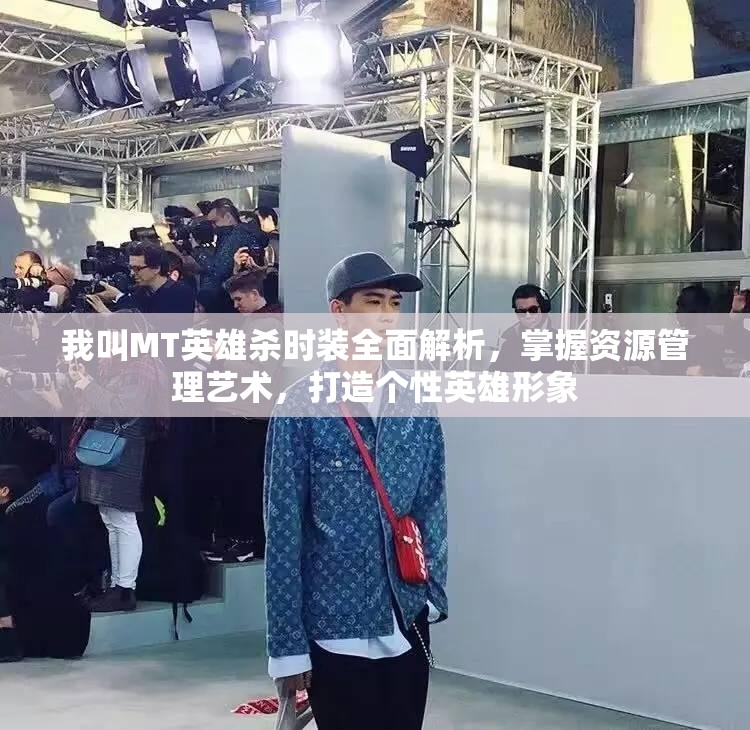 我叫MT英雄杀时装全面解析，掌握资源管理艺术，打造个性英雄形象