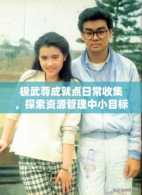 极武尊成就点日常收集，探索资源管理中小目标设定的重要性与实践策略