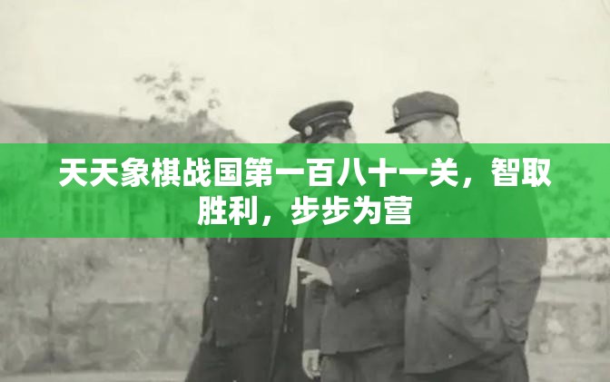 天天象棋战国第一百八十一关，智取胜利，步步为营