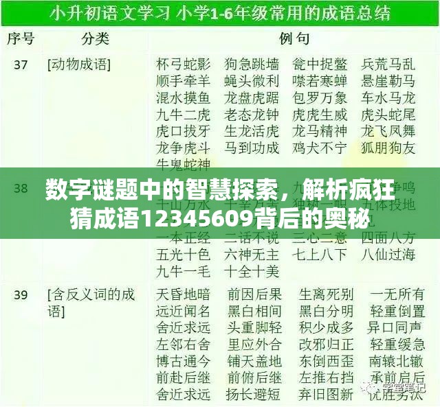 数字谜题中的智慧探索，解析疯狂猜成语12345609背后的奥秘