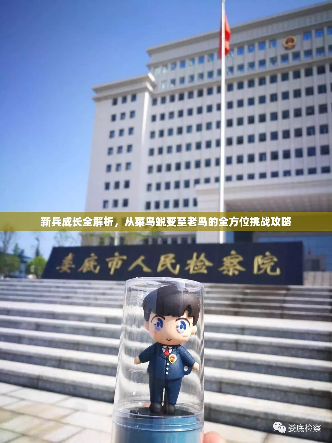 新兵成长全解析，从菜鸟蜕变至老鸟的全方位挑战攻略