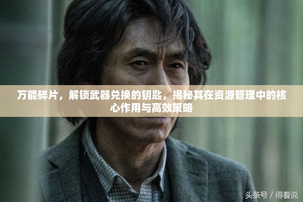 万能碎片，解锁武器兑换的钥匙，揭秘其在资源管理中的核心作用与高效策略