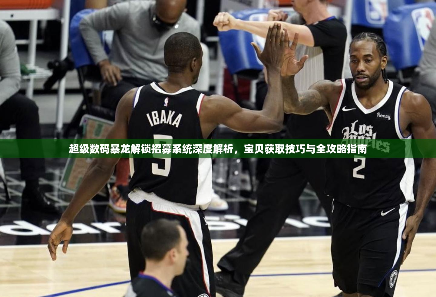 超级数码暴龙解锁招募系统深度解析，宝贝获取技巧与全攻略指南