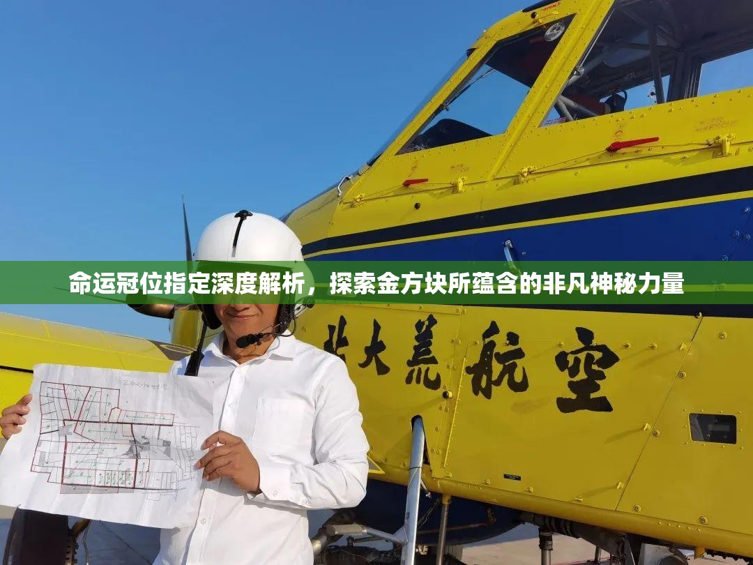 命运冠位指定深度解析，探索金方块所蕴含的非凡神秘力量