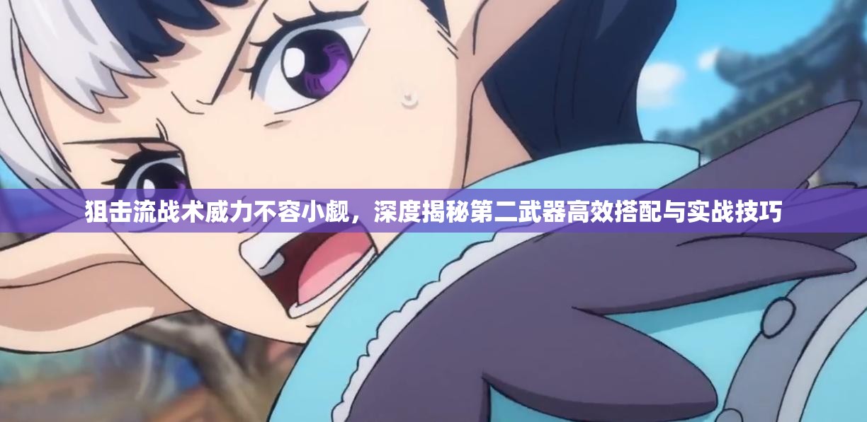 狙击流战术威力不容小觑，深度揭秘第二武器高效搭配与实战技巧