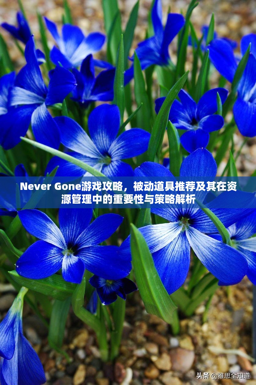 Never Gone游戏攻略，被动道具推荐及其在资源管理中的重要性与策略解析