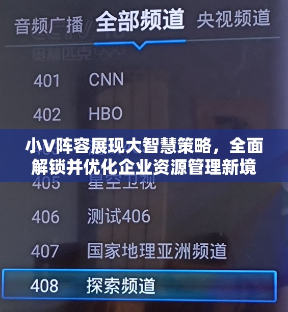 小V阵容展现大智慧策略，全面解锁并优化企业资源管理新境界