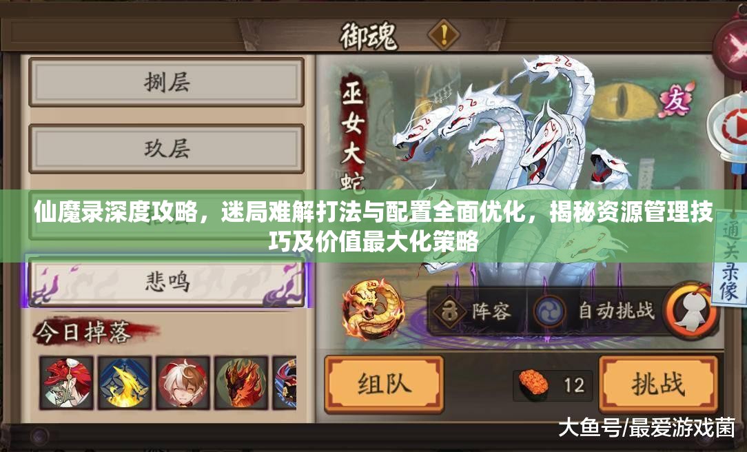 仙魔录深度攻略，迷局难解打法与配置全面优化，揭秘资源管理技巧及价值最大化策略