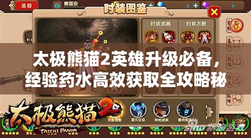 太极熊猫2英雄升级必备，经验药水高效获取全攻略秘籍