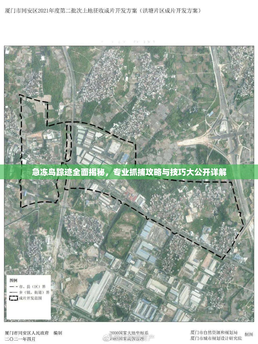 急冻鸟踪迹全面揭秘，专业抓捕攻略与技巧大公开详解