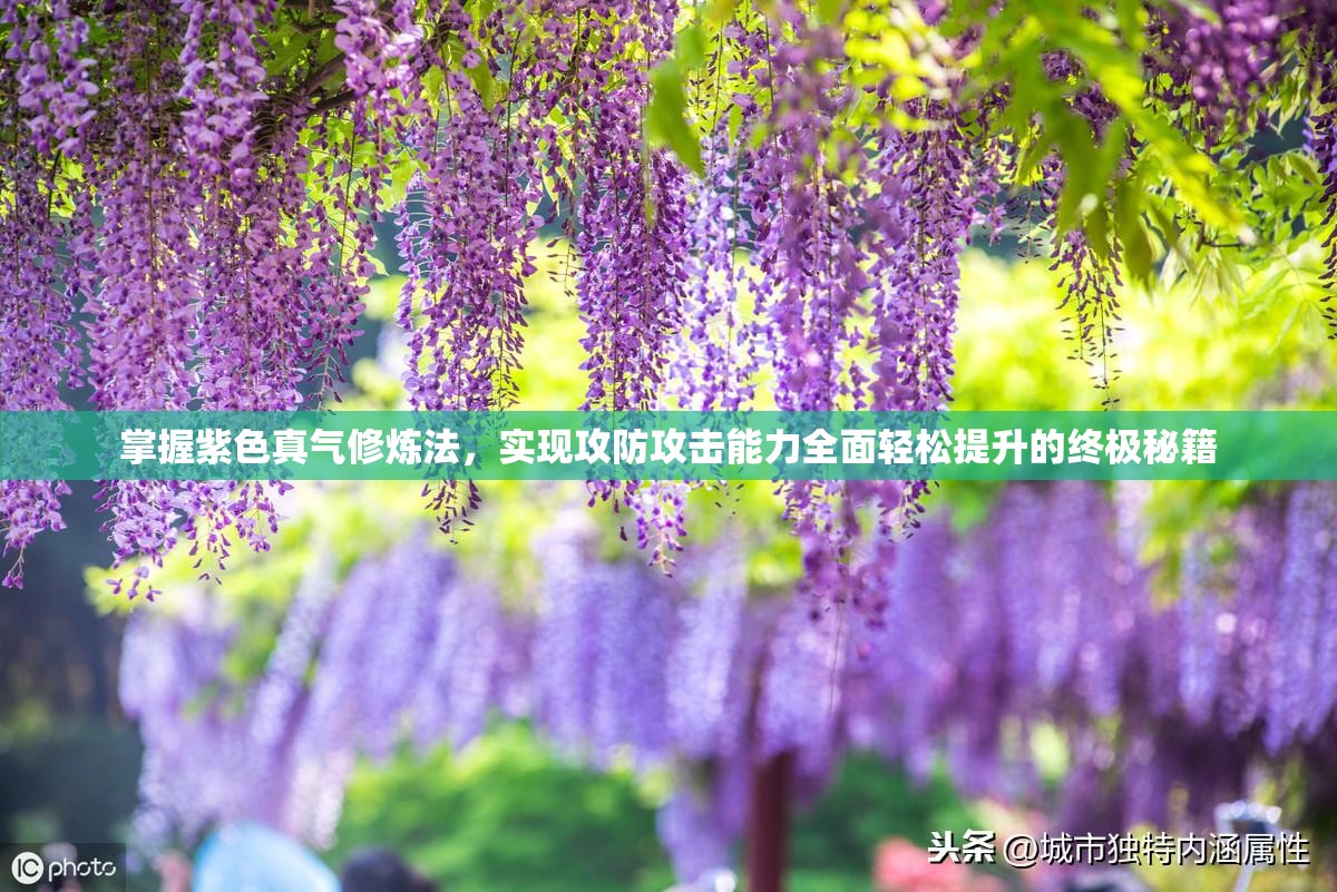 掌握紫色真气修炼法，实现攻防攻击能力全面轻松提升的终极秘籍