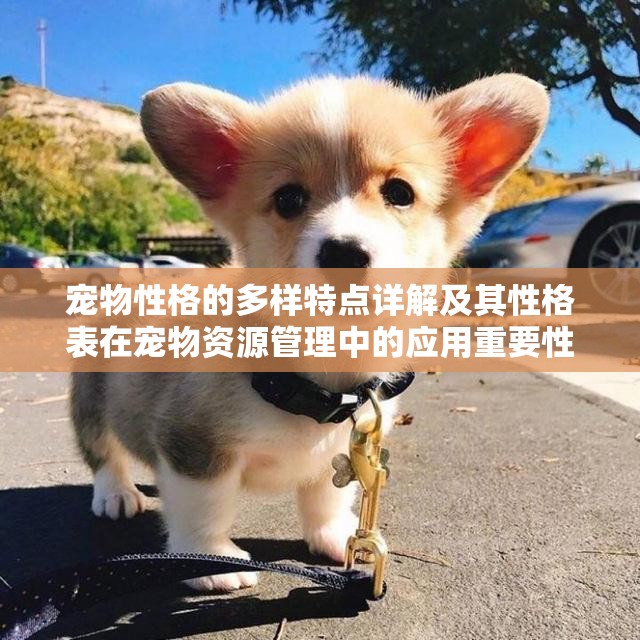 宠物性格的多样特点详解及其性格表在宠物资源管理中的应用重要性