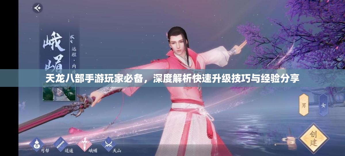 天龙八部手游玩家必备，深度解析快速升级技巧与经验分享