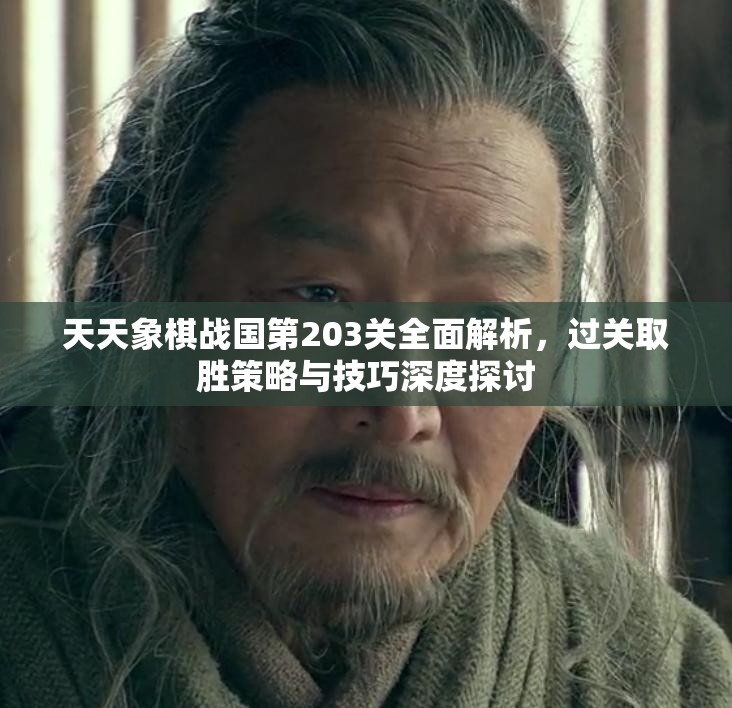 天天象棋战国第203关全面解析，过关取胜策略与技巧深度探讨