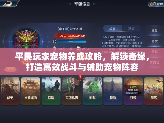 平民玩家宠物养成攻略，解锁奇缘，打造高效战斗与辅助宠物阵容