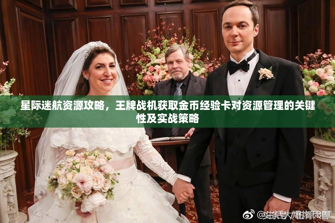 星际迷航资源攻略，王牌战机获取金币经验卡对资源管理的关键性及实战策略