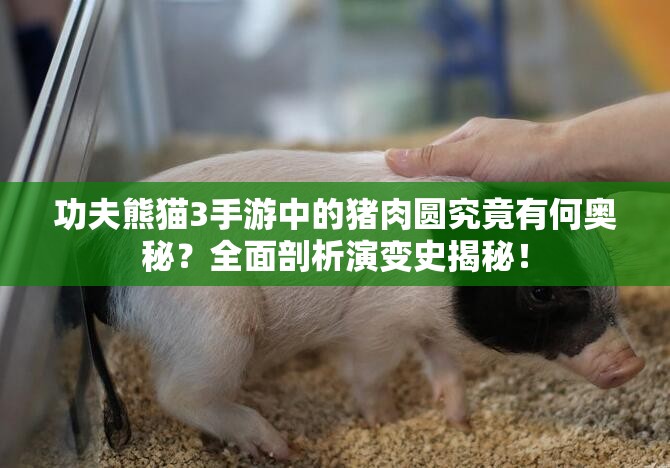 功夫熊猫3手游中的猪肉圆究竟有何奥秘？全面剖析演变史揭秘！
