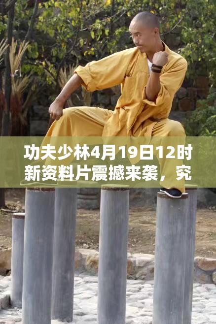 功夫少林4月19日12时新资料片震撼来袭，究竟有何惊喜内容？